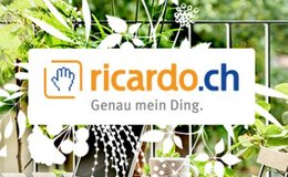 Zustimmungszwang der AGB von Ricardo