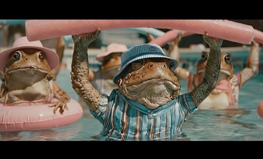 Frösche trainieren ihre Schenkel und geniessen ihr Rentnerdasein beim Aquafit... (Bild: zVg)