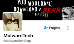 «MalwareTech»-Blog fand die Lösung