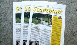 «Presseähnliche Berichte» nicht zulässig