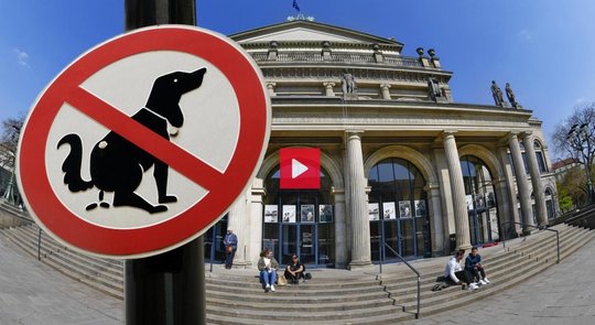 Die Hundekot-Attacke im Staatsballett Hannover hat auch in der «Kulturzeit» auf 3sat zu einem Gespräch mit der Kritikerin Wiebke Hüster geführt…       (Screenshot 3sat)