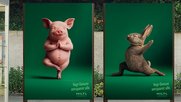 Namaste statt Nackensteak: Das Zürcher Vegi-Restaurant Hiltl wirbt mit tierischen Yogis
