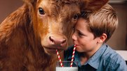 «Teile deine Milch mit dem Kalb»: So muss das Kalb nicht von seiner Mutter getrennt werden... (Bild: zVg)