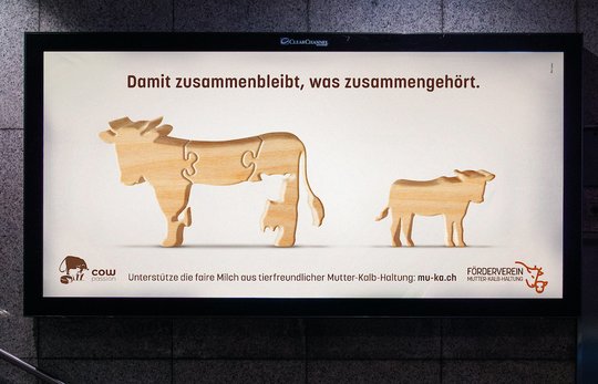 Anhand eines Holzpuzzles wird die Trennung von Mutterkuh und Kälbchen ins Bild gesetzt... (Bild: zVg)